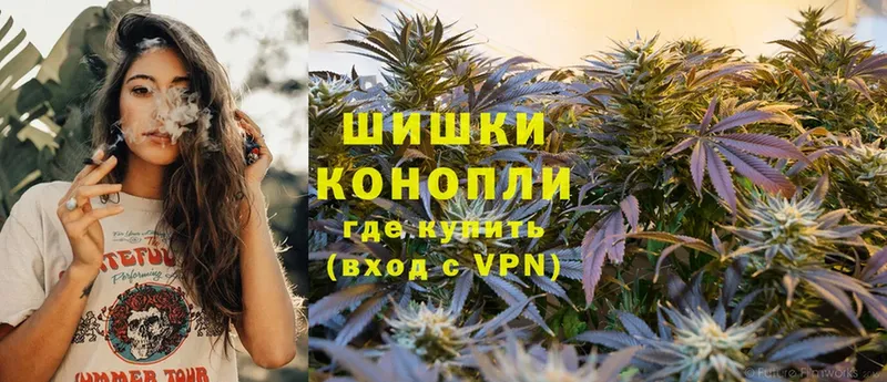 Конопля план  blacksprut tor  Кушва  продажа наркотиков 